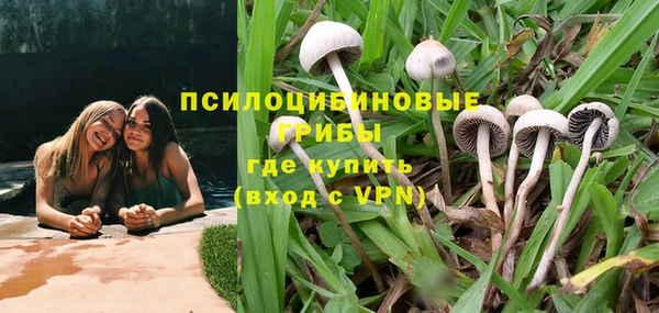 Альфа ПВП Армянск